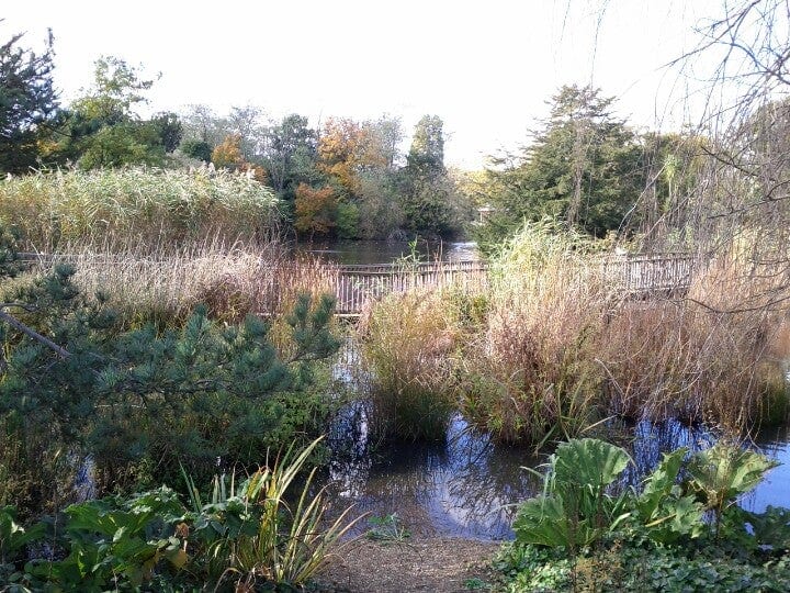 A photo of Dulwich Park