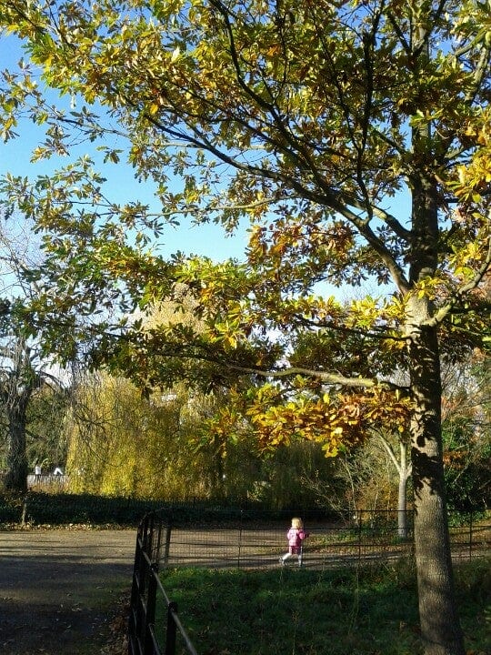 A photo of Dulwich Park