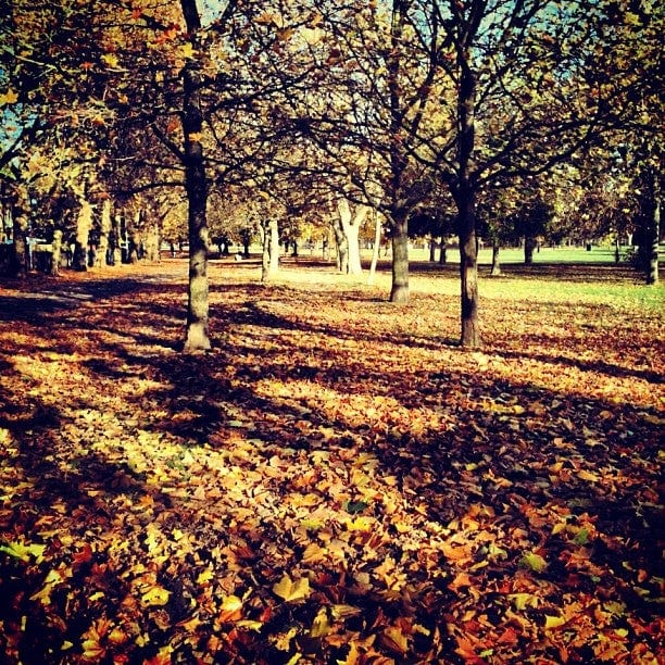 A photo of Victoria Park