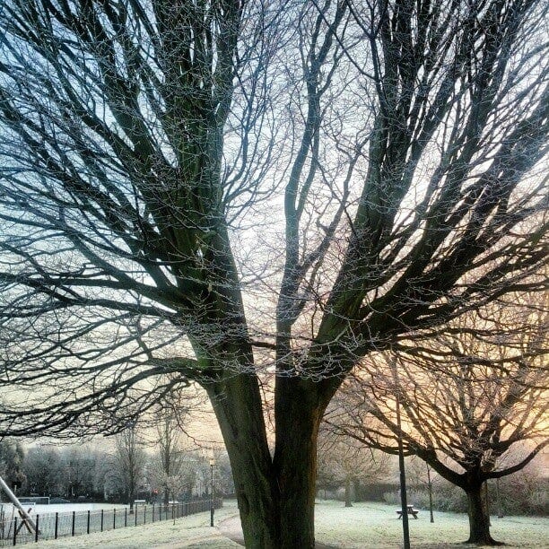 A photo of Warwick Gardens