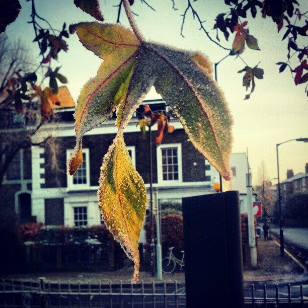 A photo of Warwick Gardens