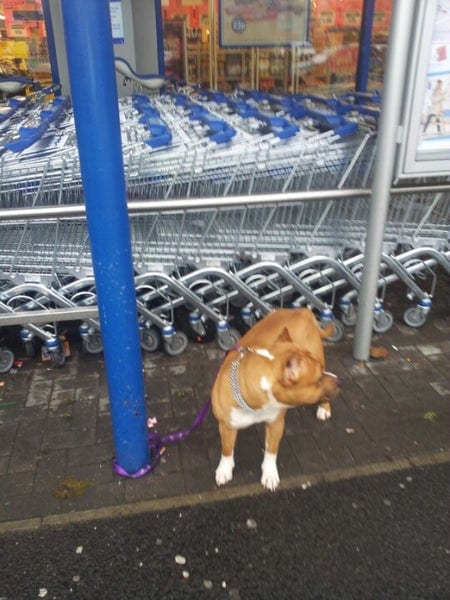 A photo of Lidl