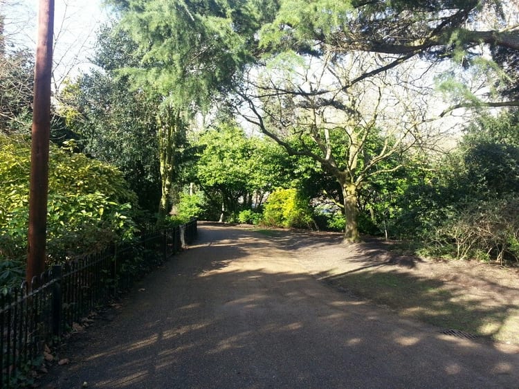 A photo of Peckham Rye Park