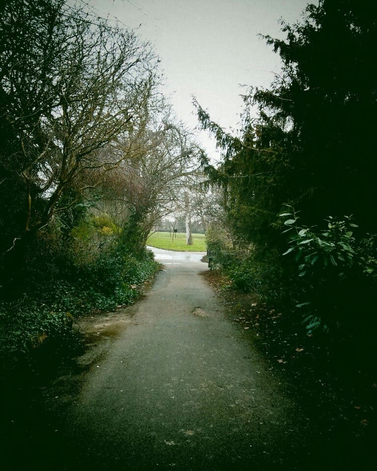 A photo of Ruskin Park