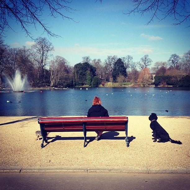 A photo of Victoria Park
