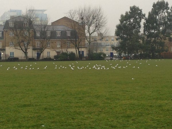 A photo of Stepney Green Park