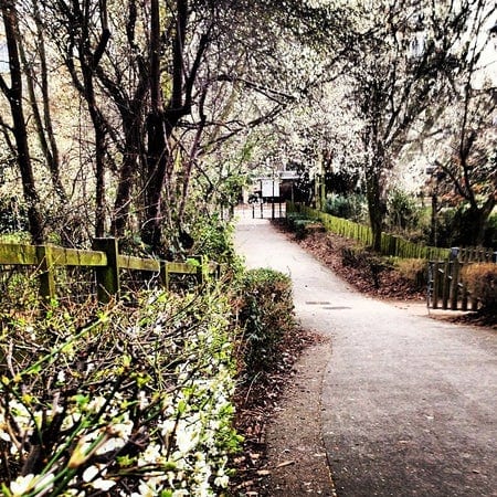 A photo of Haggerston Park