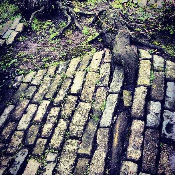A photo of Haggerston Park