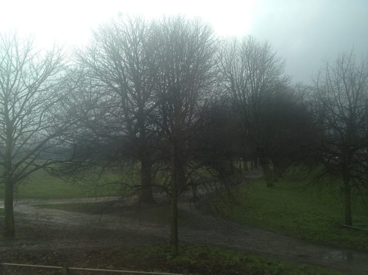 A photo of Clapham Common West Side