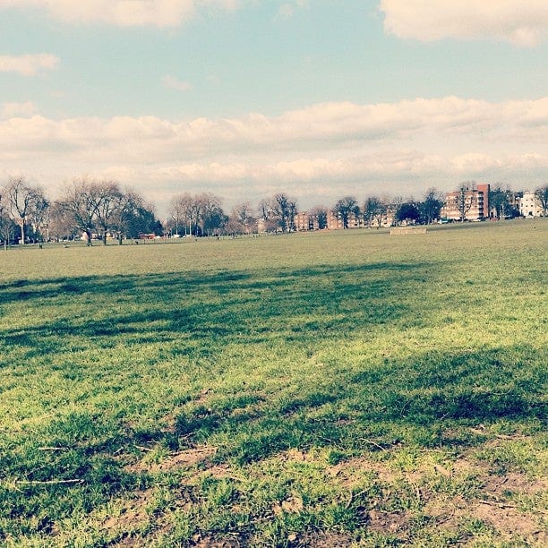 A photo of Peckham Rye Park