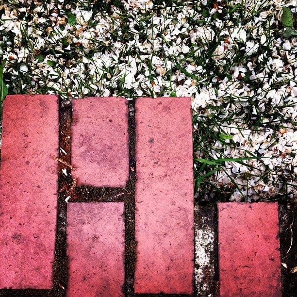A photo of Haggerston Park