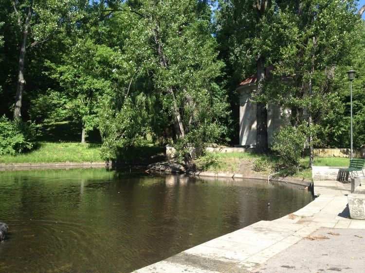 A photo of Park na Książęcem