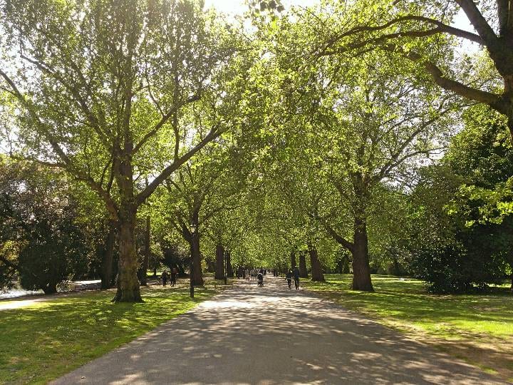 A photo of Battersea Park