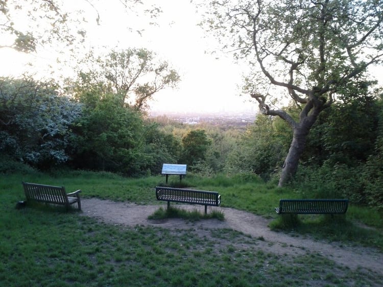 A photo of One Tree Hill