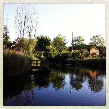 A photo of Lavender Pond Nature Park