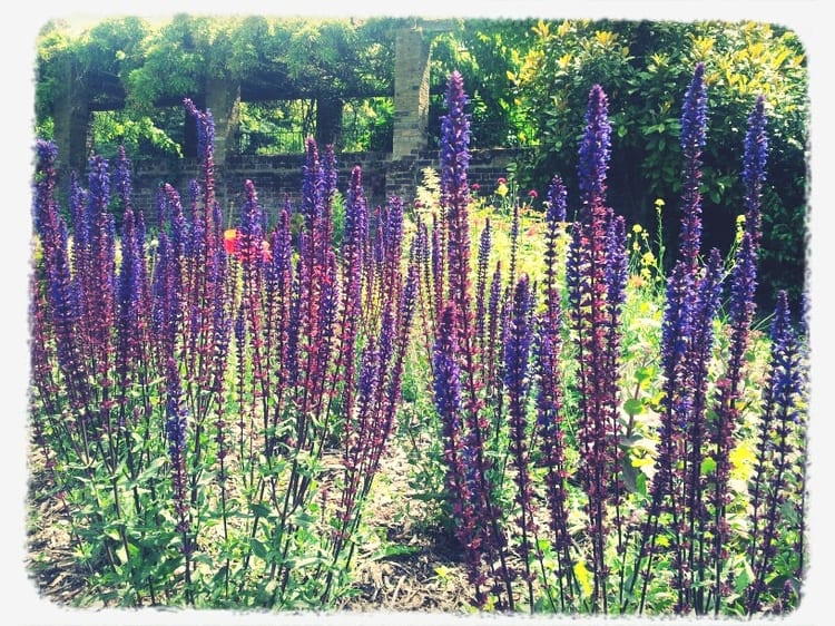 A photo of Ruskin Park
