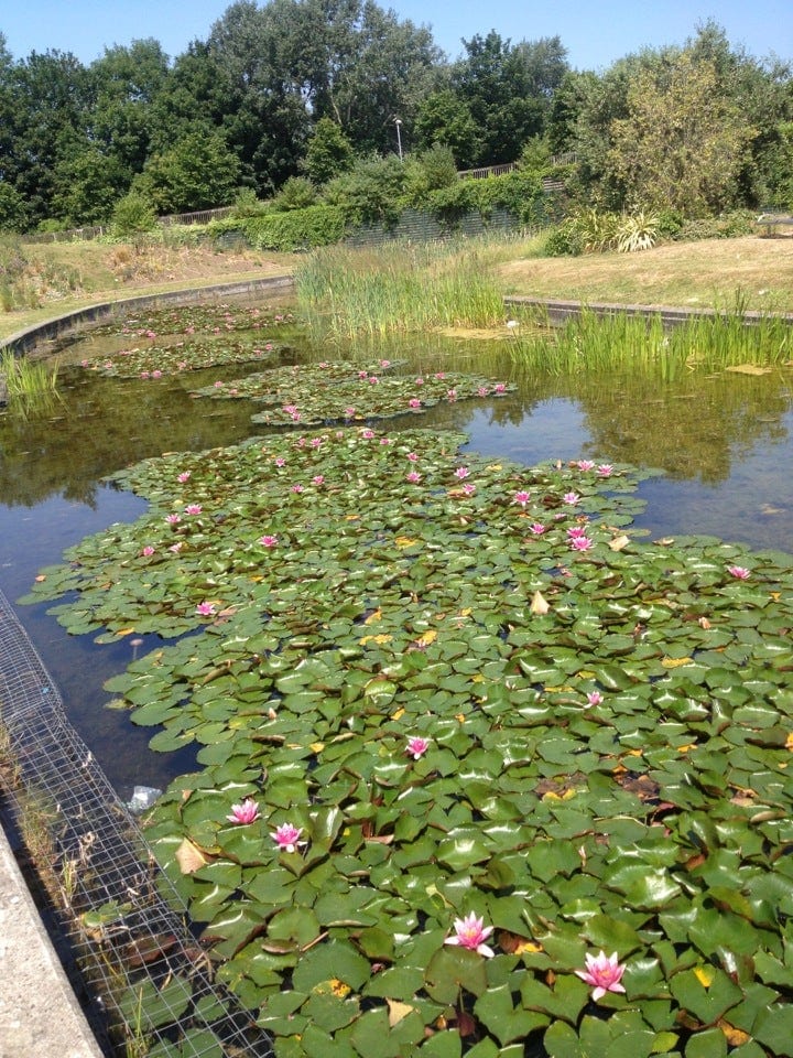 A photo of Mile End Park