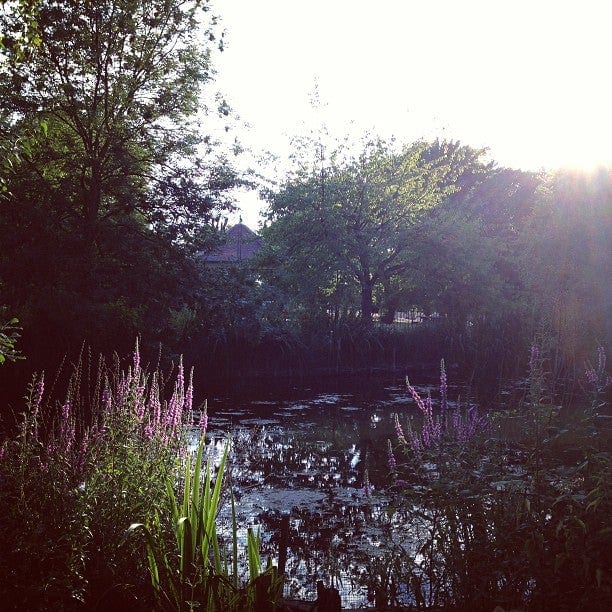 A photo of Ruskin Park
