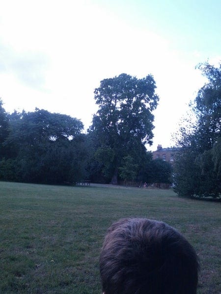 A photo of Lucas Gardens