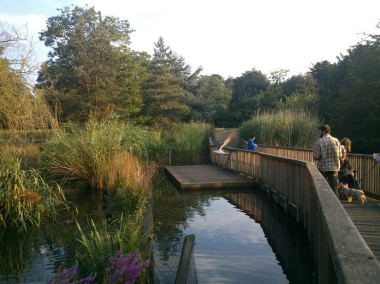 A photo of Dulwich Park