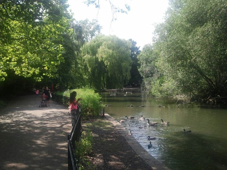 A photo of Peckham Rye Park