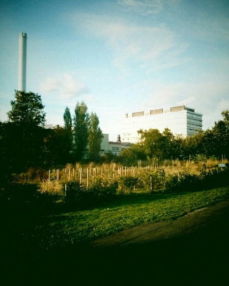 A photo of Ruskin Park