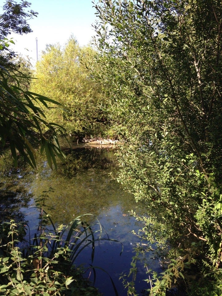 A photo of Ruskin Park