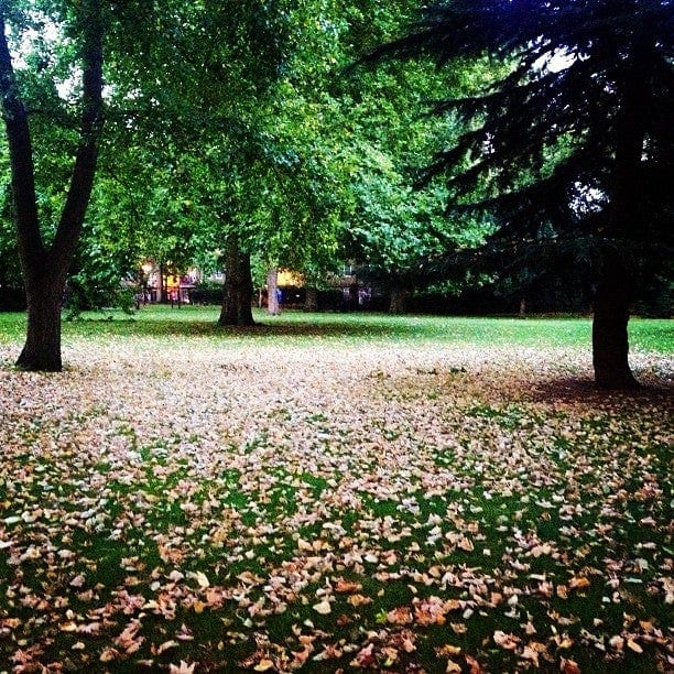 A photo of Bethnal Green Gardens