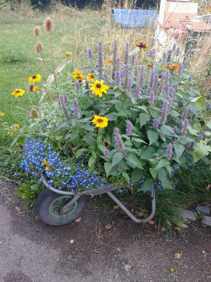 A photo of Hoxton Garden