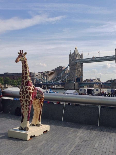 A photo of Third Space Tower Bridge