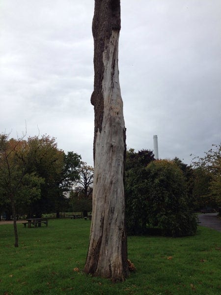 A photo of Ruskin Park