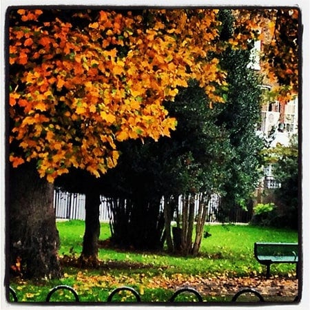 A photo of Lucas Gardens