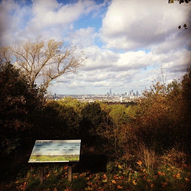 A photo of One Tree Hill