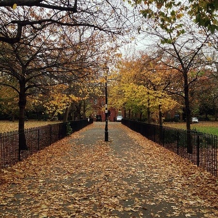 A photo of Bethnal Green Gardens