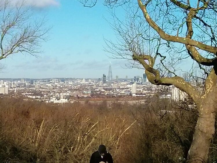 A photo of One Tree Hill