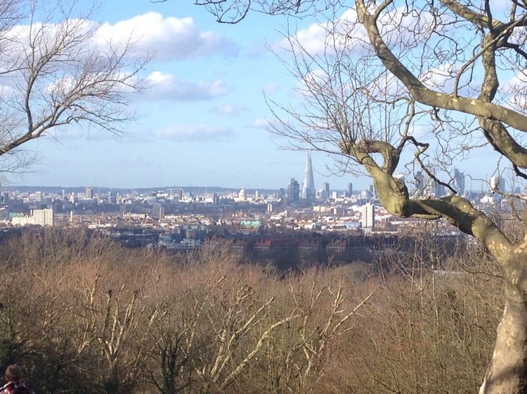 A photo of One Tree Hill