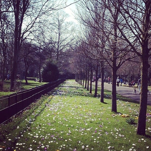 A photo of Peckham Rye Park