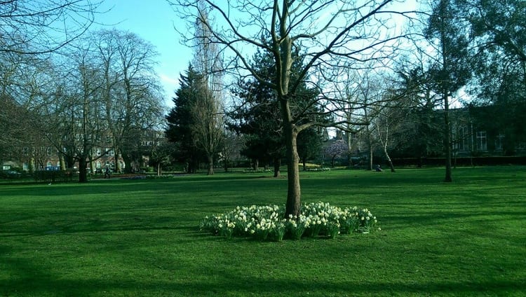 A photo of Museum Gardens