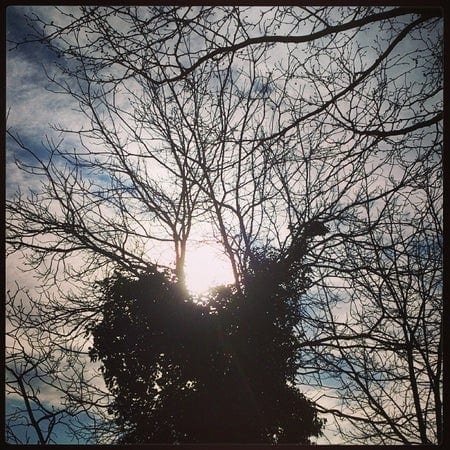 A photo of Stepney Green Park
