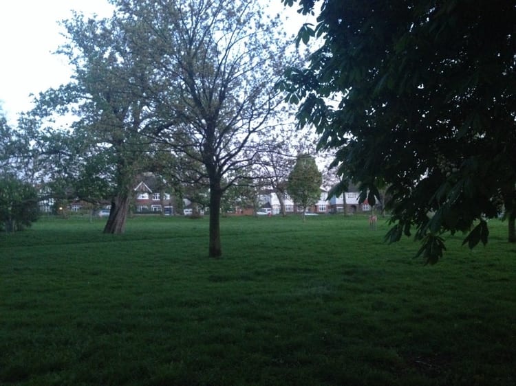 A photo of Ruskin Park