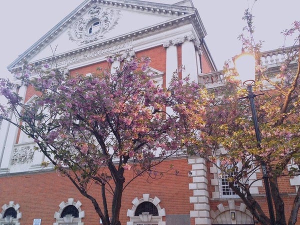 A photo of Chelsea Sports Centre