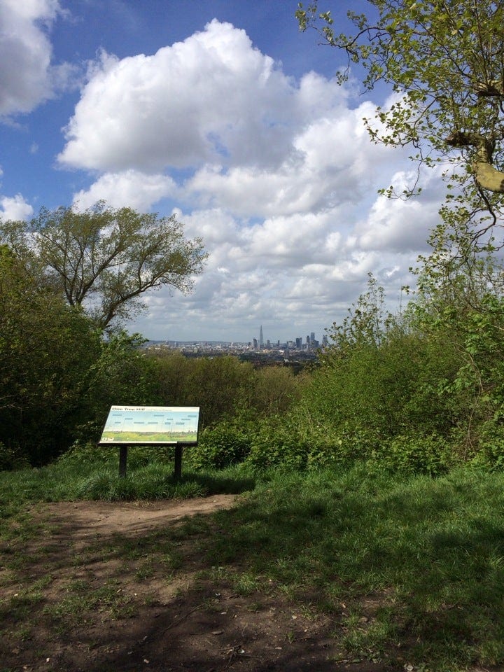 A photo of One Tree Hill