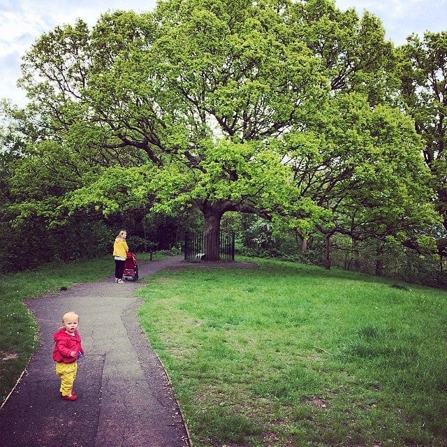A photo of One Tree Hill