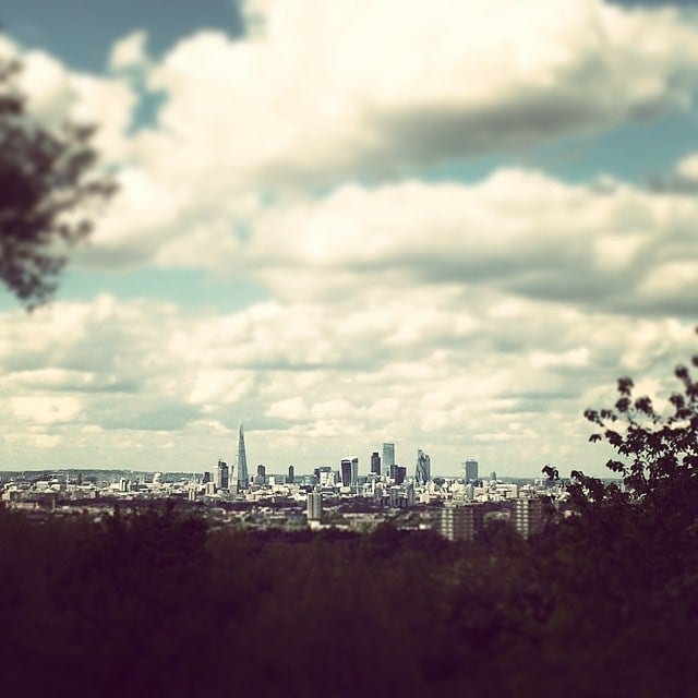A photo of One Tree Hill