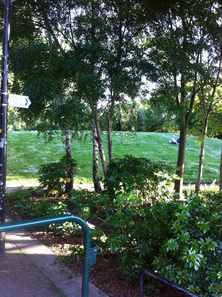 A photo of King's Stairs Gardens