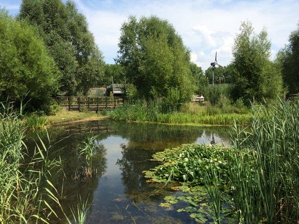 A photo of Mile End Park
