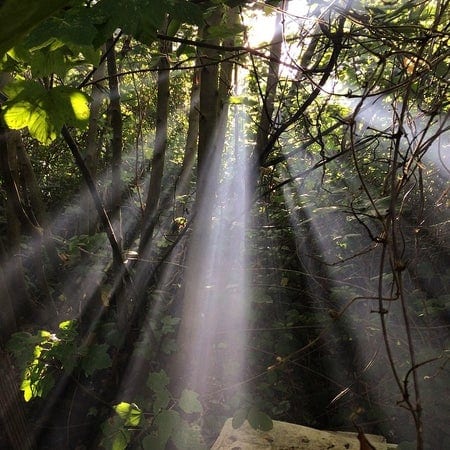 A photo of One Tree Hill