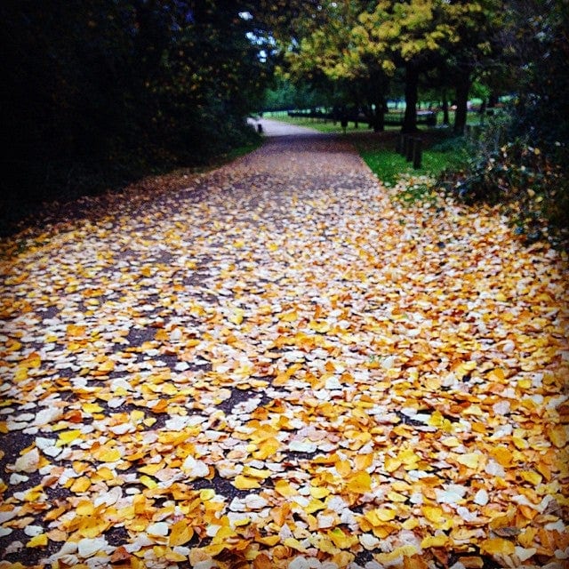 A photo of Peckham Rye Park
