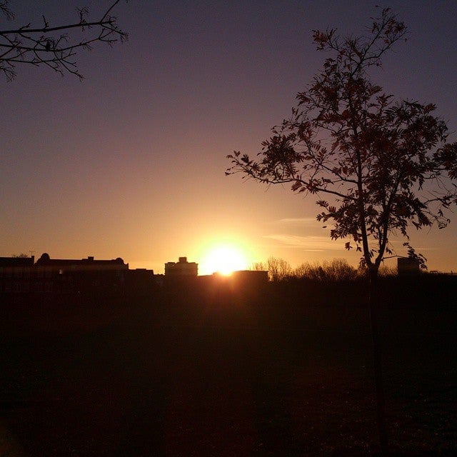 A photo of Haggerston Park