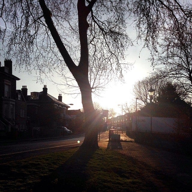 A photo of Peckham Rye Park